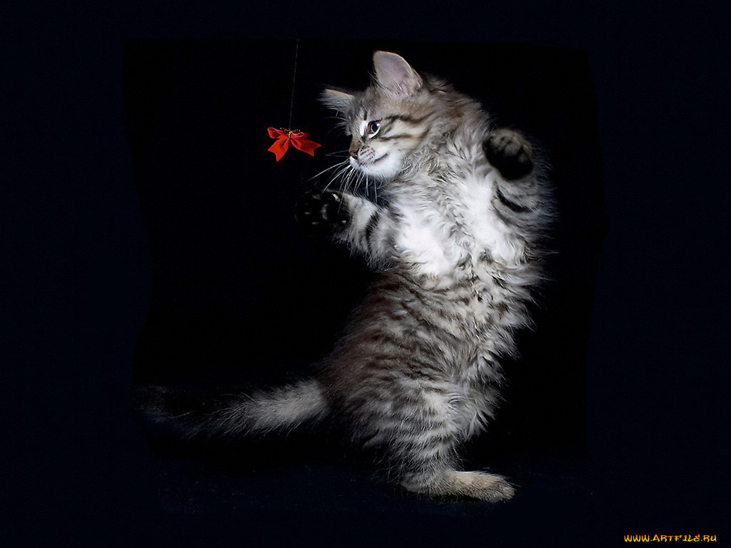 , , , , , , 